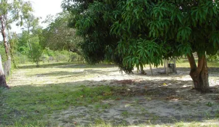 Área com 4.000 m² a venda em Pium