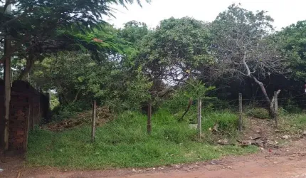 Excelente terreno em Pium, 912m², ótimo local.