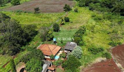 Chácara à venda, 26000 m² por R$ 1.300.000,00 - Patrimônio Regina - Londrina/PR