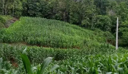 Terreno à venda na Geral do Rio Engano, 00, Rio Engano, Alfredo Wagner por R$ 500.000