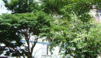Apartamento com 3 quartos à venda em São Luiz, Belo Horizonte  por R$ 480.000