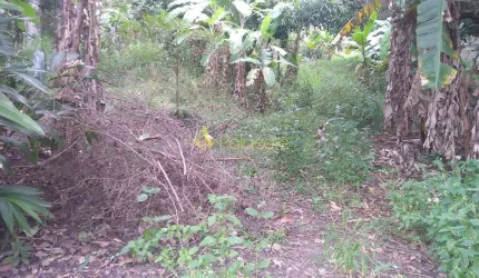 Terreno à venda 6866M², Crispim, Pindamonhangaba - SP