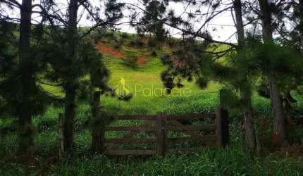 Chácara à venda 30000M², Zona Rural, Silveiras - SP