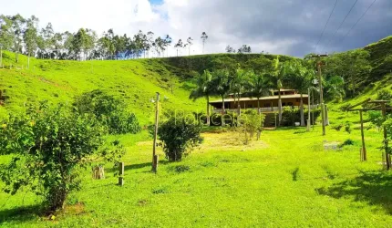 Chácara à venda 4 Quartos, 1 Suite, 37000M², Zona Rural, Silveiras - SP