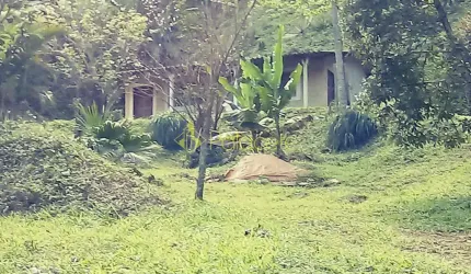 Chácara à venda 2 Quartos, 4 Vagas, 26000M², Bairro das Oliveiras, Pindamonhangaba - SP