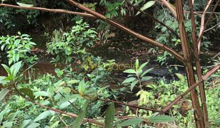Chácara à venda 1 Quarto, 57596M², Pinga, Pindamonhangaba - SP