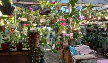 Comercial à venda 125M², Parque Senhor do Bonfim, Taubaté - SP