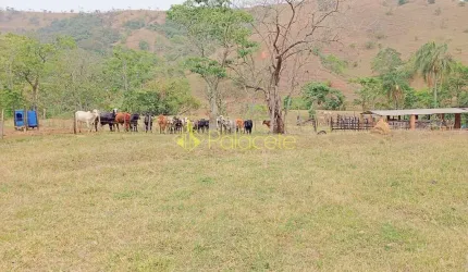 Fazenda proxima a Dutra paraa venda, , Roseira Velha, SP