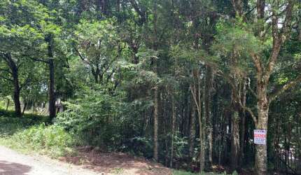 Terreno à venda em Ana Rech, Caxias do Sul