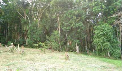 Terreno comercial à venda no Do Salto, Blumenau , 5150 m2 por R$ 1.400.000