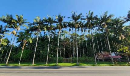 Terreno comercial à venda no Testo Salto, Blumenau , 25000 m2 por R$ 4.200.000