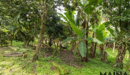Terreno comercial à venda em Água Verde, Blumenau  por R$ 4.020.000
