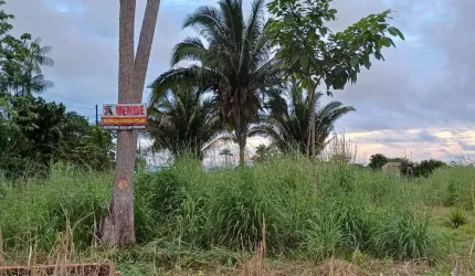Área a venda - 5.000M²