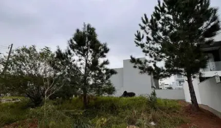TERRENO São Jacó Sapiranga