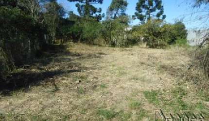 TERRENO Hamburgo Velho Novo Hamburgo