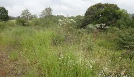 CHACARA - SITIO Lomba Grande Novo Hamburgo