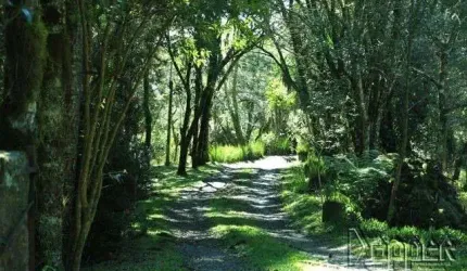 AREA Vila Suica Gramado