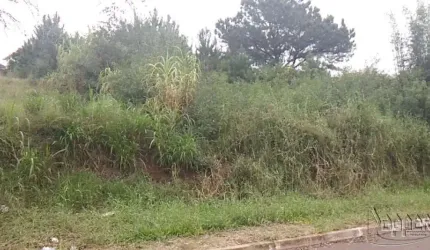 AREA Rondônia Novo Hamburgo