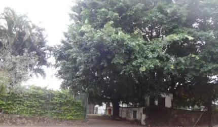 TERRENO Vila Rosa Novo Hamburgo
