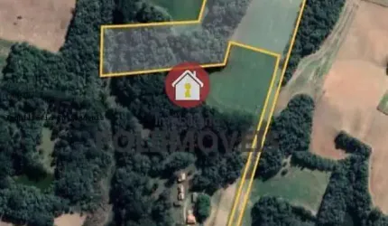 Chácara para Venda em Araucária, Campina das Pedras