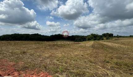 Chácara para Venda em Araucária, Lagoa Suja