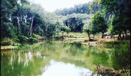 48.000m2/CADASTRO AIRBNB/110 KM CURITIBA