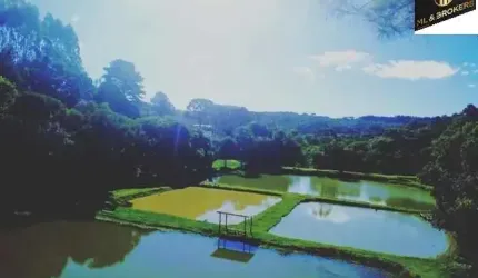 20.000 M2 / 04 TANQUE PEIXE /  300 MTS BR 116