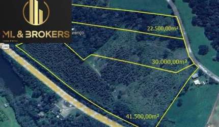 95.000M2/MARGENS ROD SEN LUIZ HENRIQUE/ MARGENS REPRESA SÃO LOURENÇO