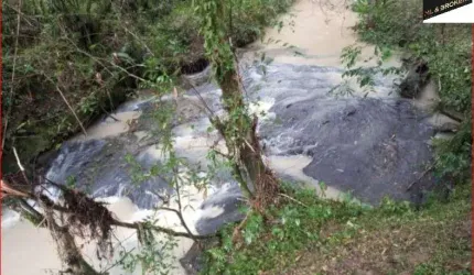 33.000m2/CERCADA/RIO DIVISA/DOCUMENTADA