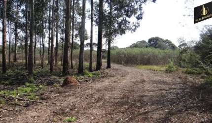 84.000 M2/ ÁREA INDUSTRIAL/ 200 MTS PR 510/IDEAL INVESTIDOR