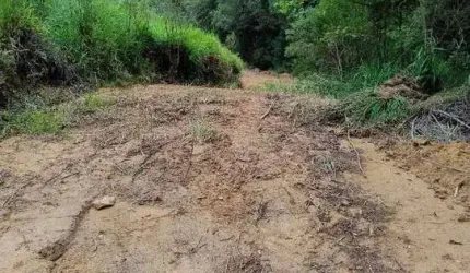 24.000M2/COM PLANTAÇÃO EUCALIPTOS/OTIMA LOCALIZAÇÃO
