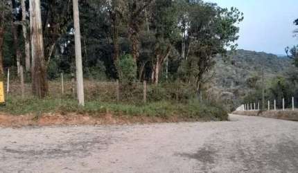 20.000M2/PERTO BR 277/DOCUMENTAÇÃO OK/OTIMA LOCALIZAÇAO