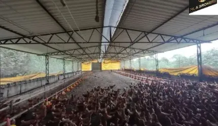 114.000M2/GRANJA CAPACIDADE 8.000 MIL OVOS DIA/IDEAL INVESTIDORES