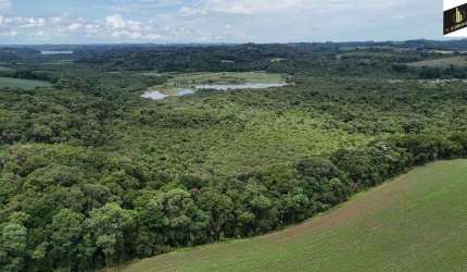 242.000 M2/ 2 KM PR423 / ÓTIMA LOCALIZAÇÃO/IDEAL PARA INVESTIDORES