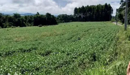 57.000M2/AREA PLANTIO MECANIZADA/OTIMA LOCALIZAÇÃO/IDEAL INVESTIDORES
