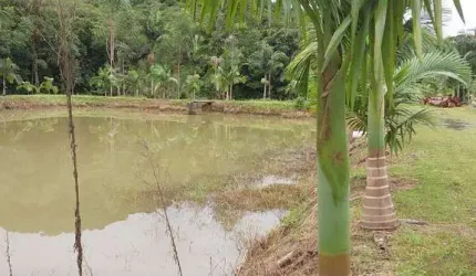 34.936M2/TERRENO PLANO/22 KM ATE MATINHO/CAIOBA/700 M CACHOEIRA QUINTILHA