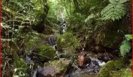 40.781/ESTRADA SÃO JOÃO POVINHO/VISTA ESCARPAS DA SERRA