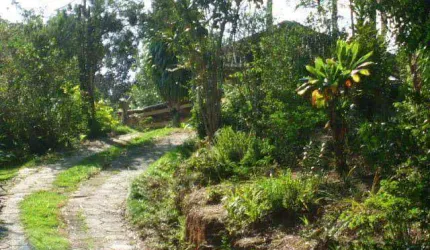 Chácara com 2 dormitórios à venda, 1000 m² por R$ 380.000,00 - Ponunduva - Cajamar/SP