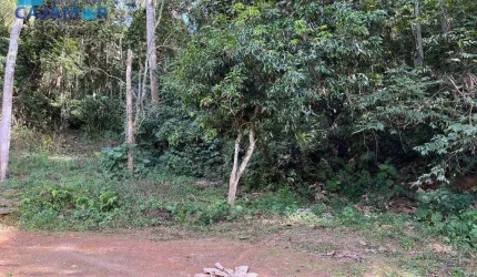 Terreno à venda, 3047 m² por R$ 140.000,00 - Vau Novo - Cajamar/SP