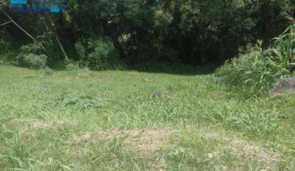 Terreno à venda, 630 m² por R$ 180.000,00 - Polvilho - Cajamar/SP