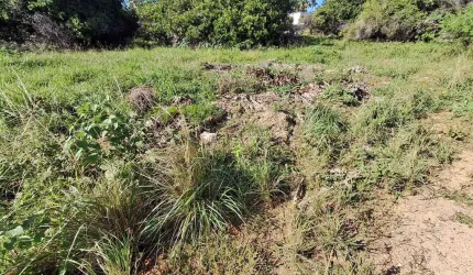 Terreno no Mosqueiro 2200m²