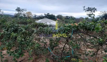 Sitio com 10.000 m² cercado, com caixa d'água de 30.000 no Loteamento Rural Estância Terra das Rosa