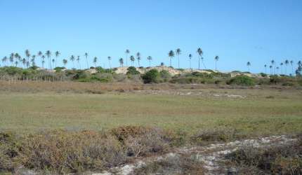 Terreno em Imbassai Mata de São João Bahia