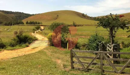 Fazenda de leite e corte 105 alqueires para venda - Bairro dos Macacos