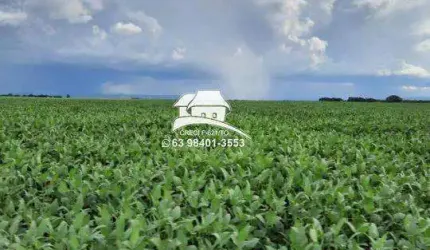 Fazenda para Venda em Palmas, Área Rural de Palmas