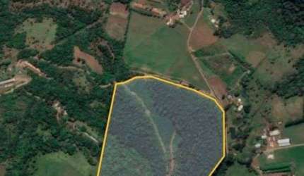 Terreno à venda na Linha São Roque, Interior, Chapecó por R$ 4.860.000