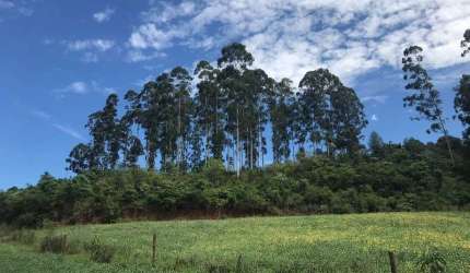 Terreno à venda na Linha Tafona, Interior, Chapecó por R$ 1.915.000