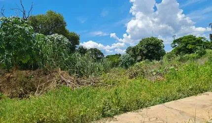 terreno no City Garden