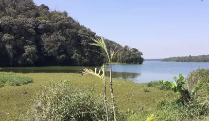 Chácara à venda na Avenida Kayo Okamoto, Colônia (Zona Sul), São Paulo - SP