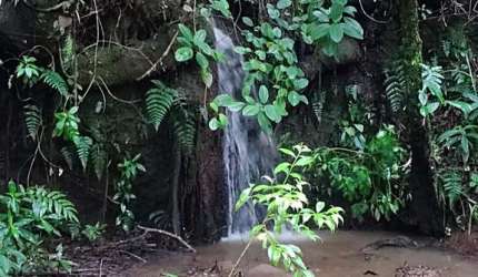 Fazenda à venda na Fazenda Serra das Flores, Olaria, Olaria - MG
